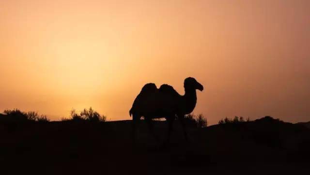 人而无信下一句，人而无信下一句是什么孔子