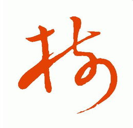 树怎么写好看?