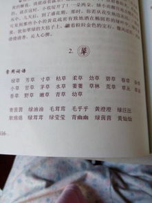 二字好词有哪些?