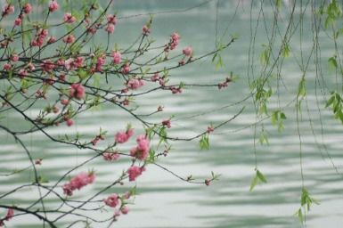 写一句关于春天的谚语，写一句关于春天的谚语四年级下册