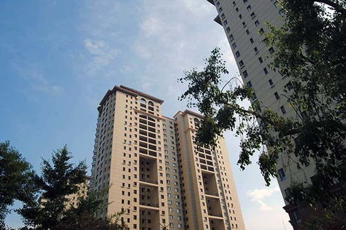 中介为什么推荐法拍房，中介为什么有法拍房