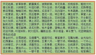 有哪些“四…五…”的成语?