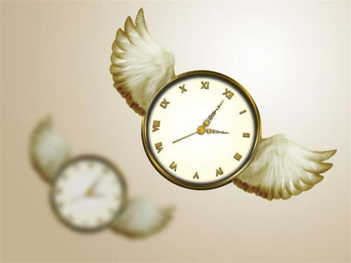 感叹时光匆匆的句子