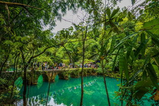 贵阳怎么去荔波小七孔景区