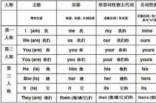 he的物主代词