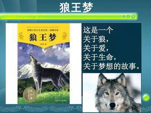 狼王梦主要内容,要简短,30字左右