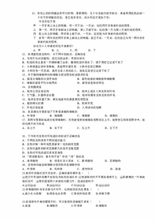 初一上册数学期中试卷及答案