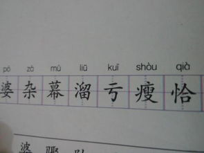 但能组什么词语