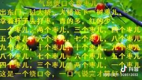 绕口令数枣大全