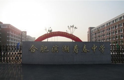 滨湖寿春中学，滨湖寿春中学入学条件2023