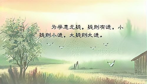 为学患无疑,疑则进也.的意思
