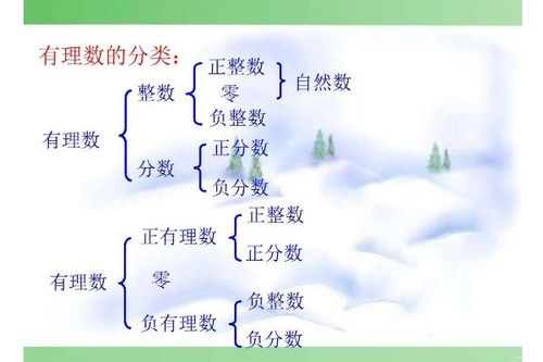 π是有理数还是无理数