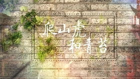 13岁伪声会毁本音吗