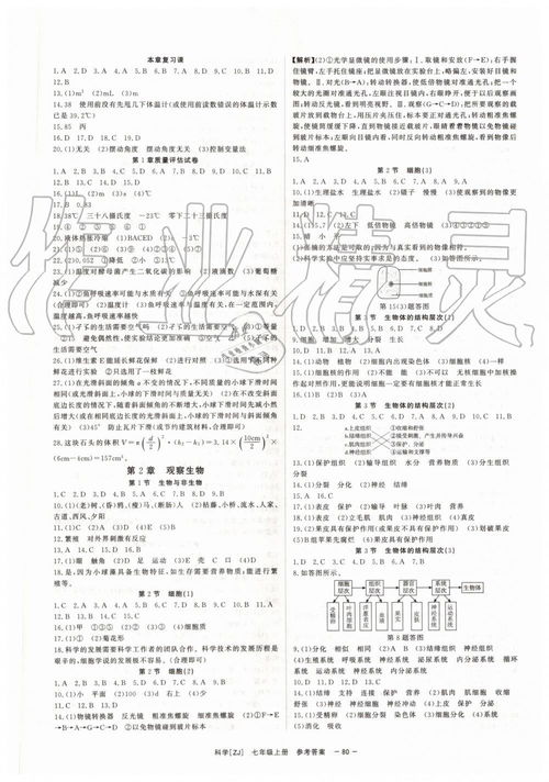 数学《全效学习》 七年级上 答案