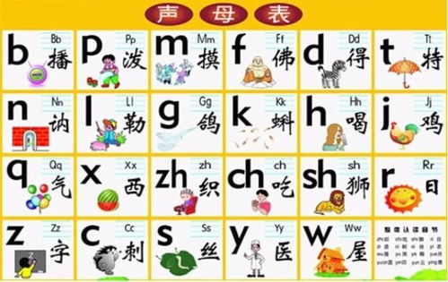 ou怎么读拼音 ou怎么发音