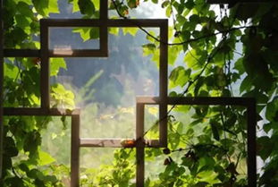 初一上册作文窗外600字