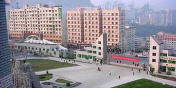 重庆三峡学院教务管理系统登录，重庆三峡学院教务官网