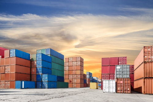 初出茅庐的主人公，初出茅庐的主人公是谁的答案