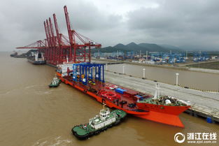 甬舟码头，甬舟码头集装箱查询