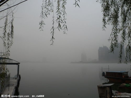 柳暗花明又一村是谁的诗句，山穷水尽疑无路柳暗花明又一村是谁的诗句