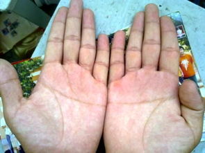 通贯掌，通贯掌的人有什么特殊