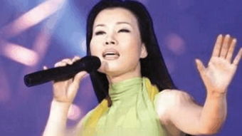 林美心林美玉叶凡小说叫什么名 关于林美心林美玉叶凡小说