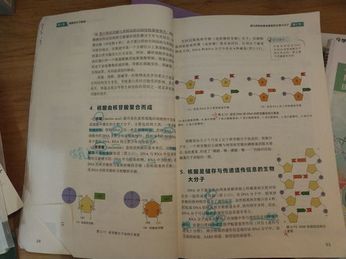 万的组词组，万的组词组词语