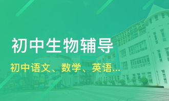 初中语文如何辅导?