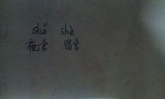 舍的拼音