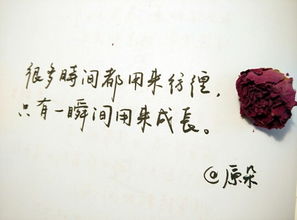 关于理想的现代诗歌