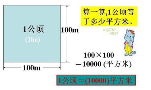 一英亩等于多少平方米