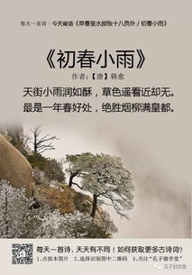 《初春小雨》古诗文赏析