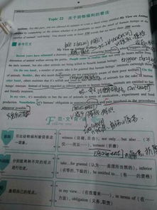 whenever什么意思