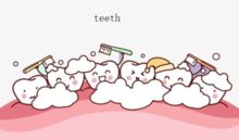 tooth复数是什么