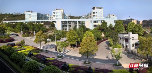 长沙财经学校计算机网络技术专业在哪个校区