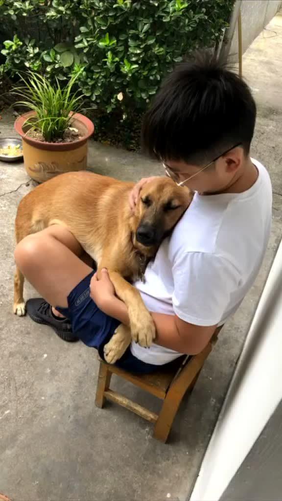 老公打死了我的狗
