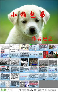 《小狗包弟》教学反思