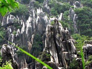 嶙峋是什么意思，瘦骨嶙峋是什么意思