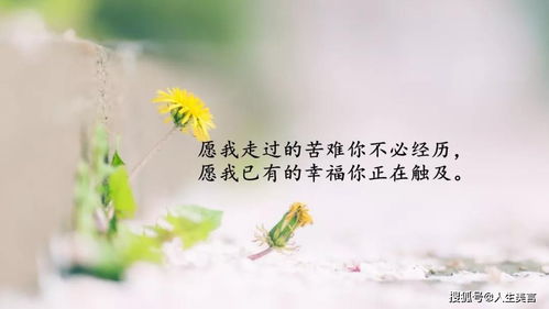 人生感悟致自己