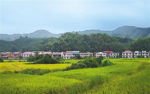 村级环境整治实施方案