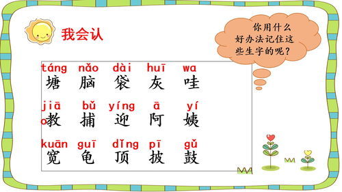 眼怎么组词，睛怎么组词