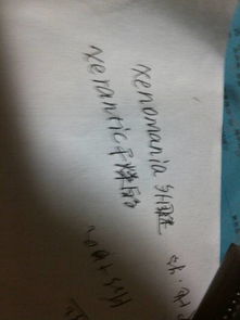 自x自x的四字词语