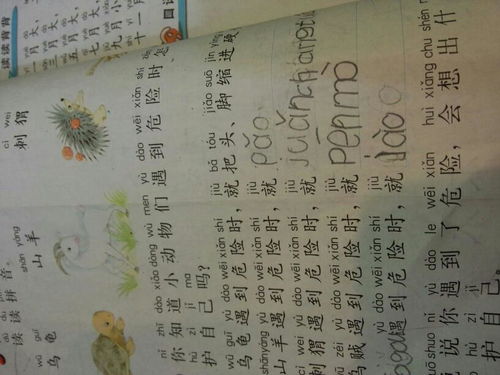 伤害的拼音，伤害的拼音怎么读