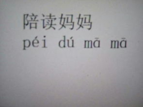 娘的拼音怎么写，替嫁新娘的拼音怎么写