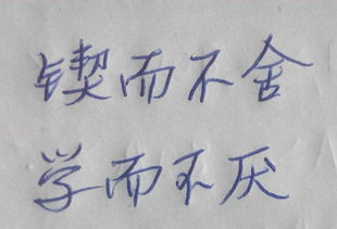 自什自什么四字词语