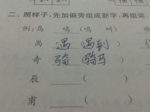 奇加偏旁，奇加偏旁组词