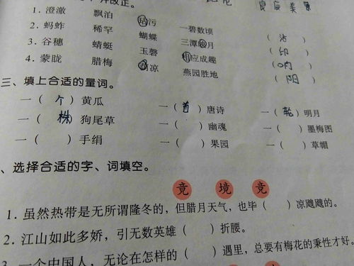 一()湖水,填量词