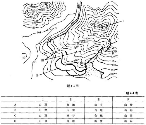 鹤啸山谷地，鹤啸山谷地sρank