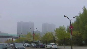 神木县的天气预报