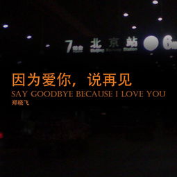 歌词中有 不离不弃,永远在一起 这句的歌叫什么 是男的唱的